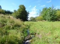 Babbithill Wood - SOLD