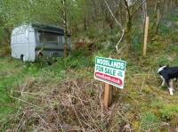 Bluesacre Wood - SOLD