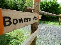 Bowers Wood