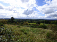 Braes Of Bandrum Wood - SOLD
