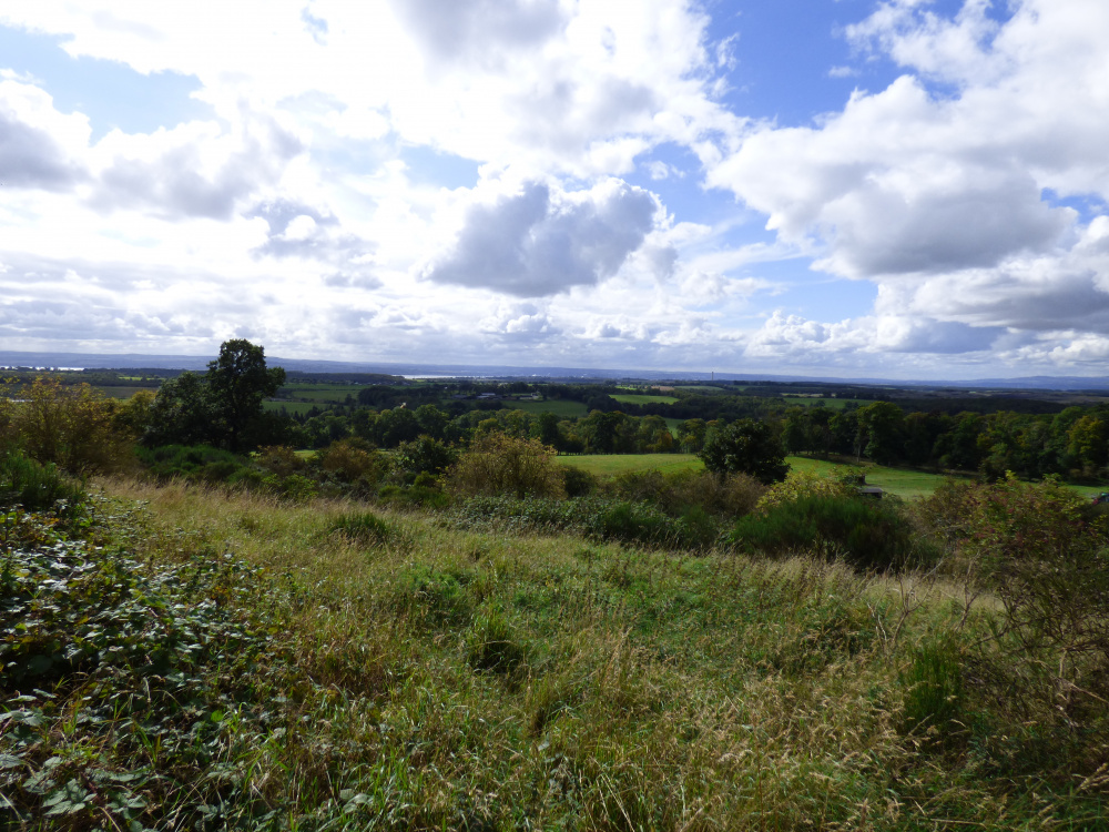 Woodlands for sale in Northern Scotland Woodlands.co.uk