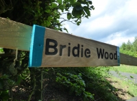Bridie Wood