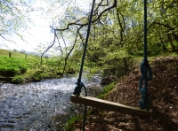 Burnside Wood - SOLD