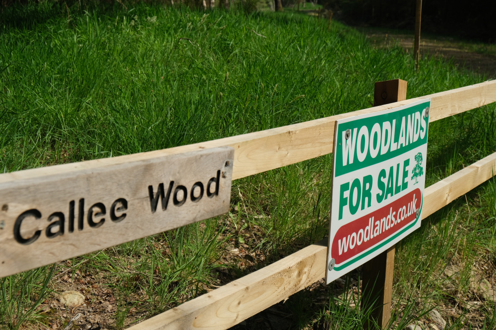 Woodland sign