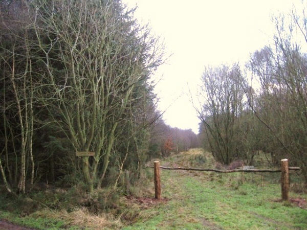Middle bisecting track