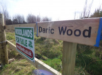 Daric Wood