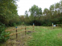 Eddard Wood