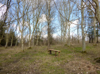 Everhart Wood - SOLD
