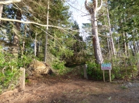Firmounth Wood - SOLD