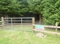 Frith Wood