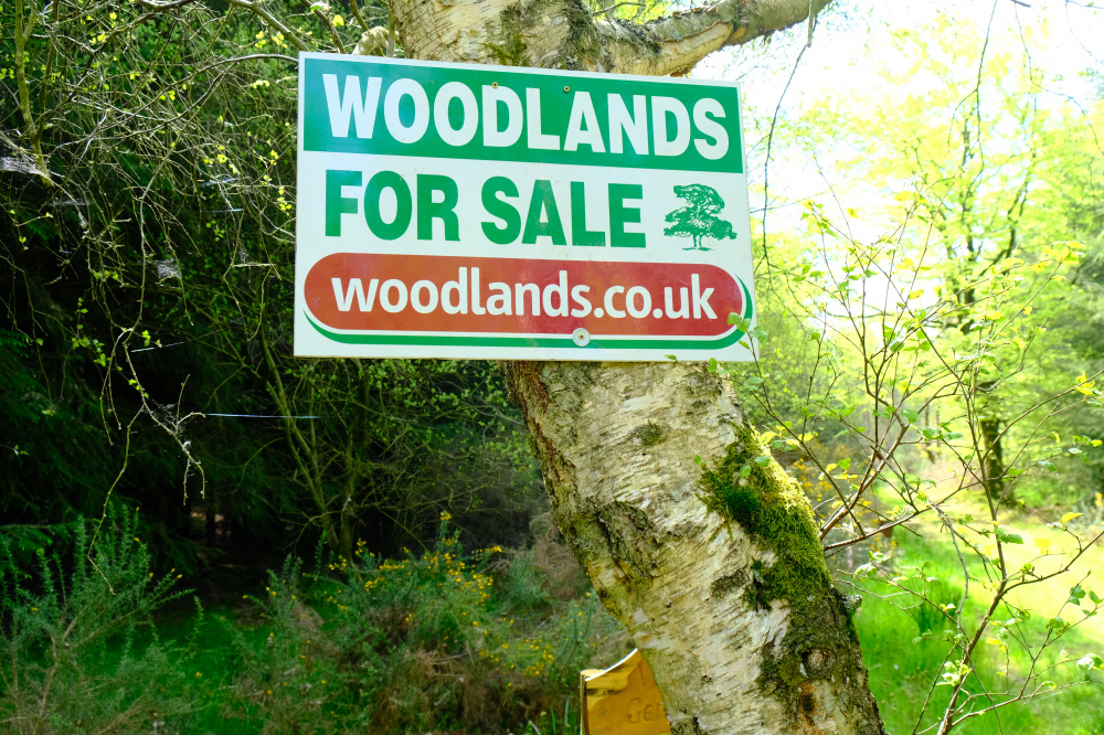 Woodlands for sale in Northern Scotland Woodlands.co.uk