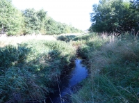 Linn Burn Wood - SOLD