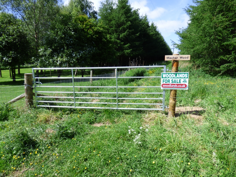 Machar Wood Lairshill Newmacher Aberdeenshire 
