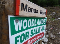 Manas Wood