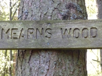 Mearns Wood - SOLD