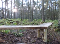 Osgar Wood Luthermuir Aberdeenshire Woodlands.co.uk