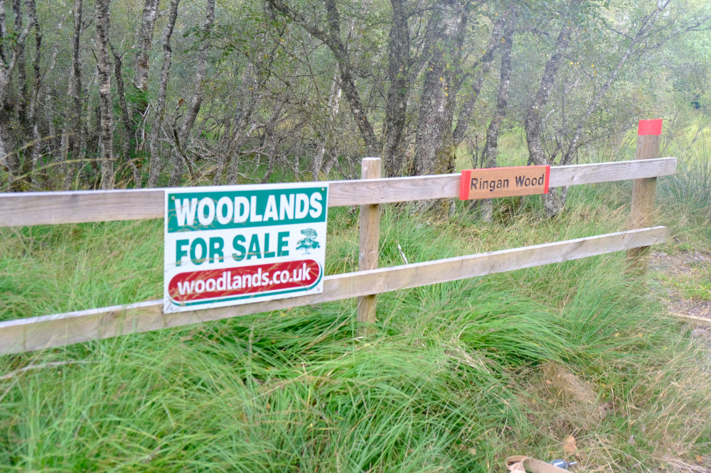 Woodland sign