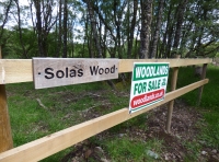 Solas Wood