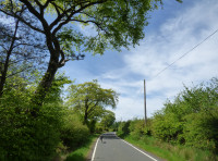 Suil Wood - SOLD