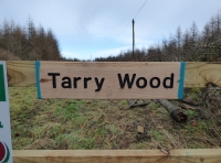 Tarry Wood