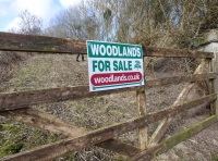 The Railway Wood - SOLD