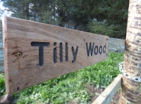 Tilly Wood