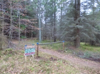 Tillycairn Wood