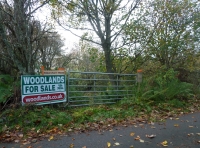 Toberchurn Wood - SOLD