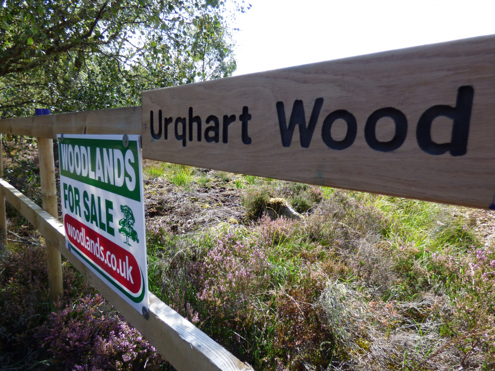 Woodland sign