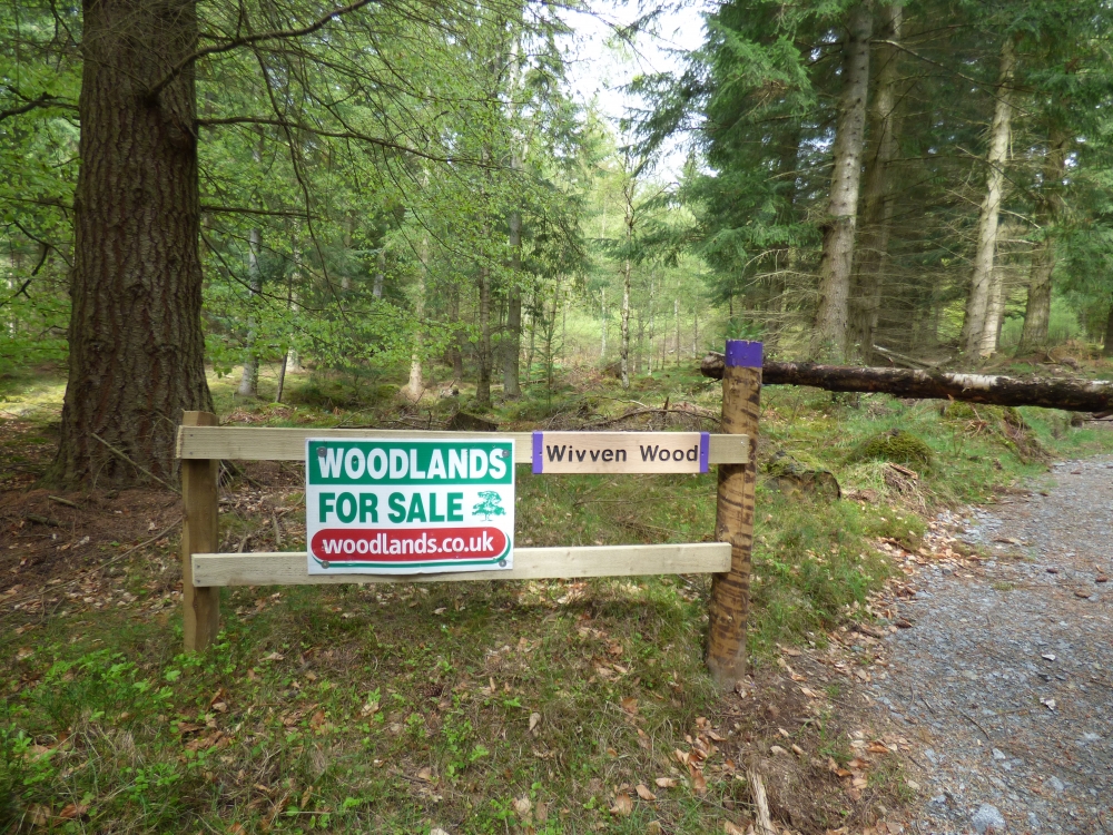 Woodlands for sale in Northern Scotland Woodlands.co.uk