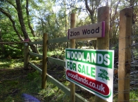 Zion Wood - SOLD