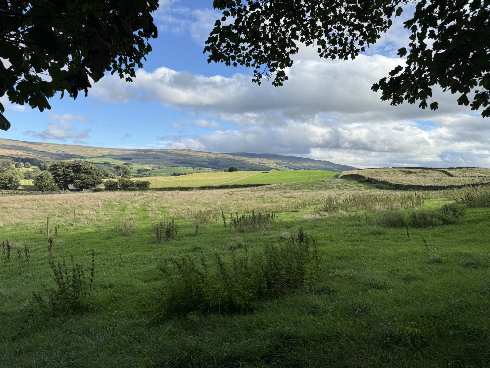 Looking south