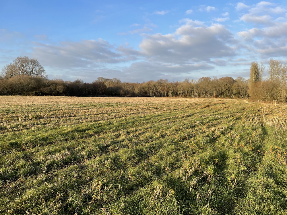 Apple Pie Meadow lies on the site of a former apple orchard