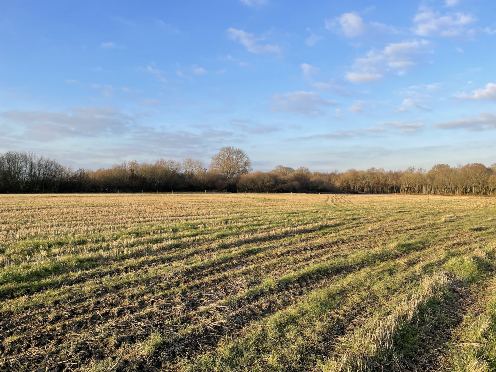 Bramley Meadow lies on the site of a former Apple Orchard, having been farmed in more recent years