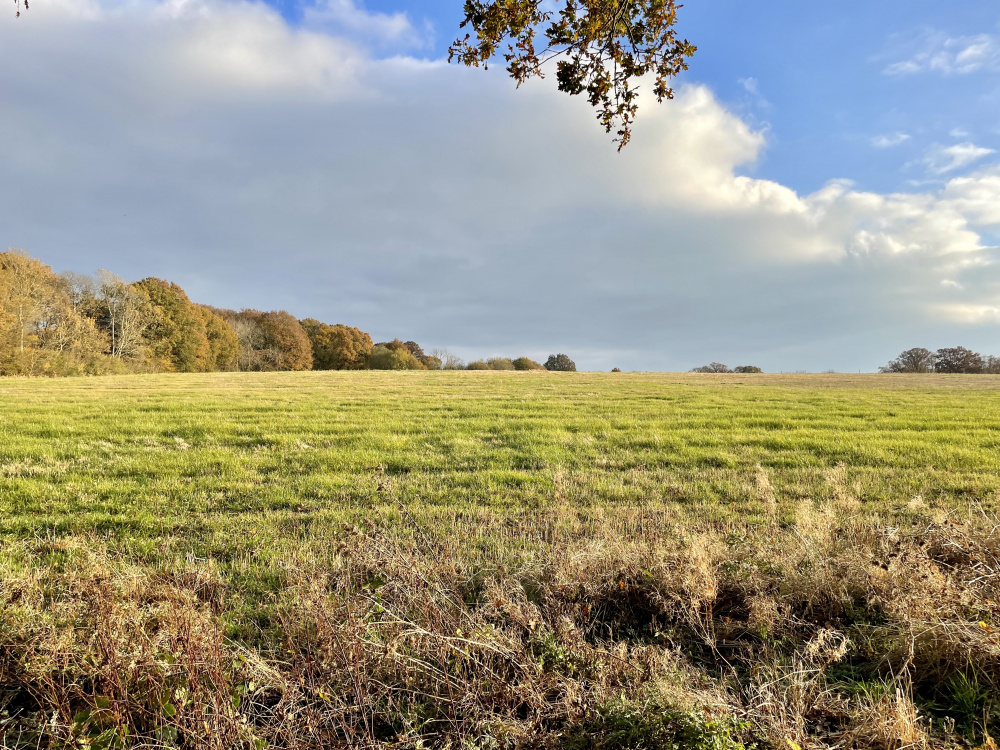 Broad Meadow is an expansive parcel of land in the heart of the High Weald