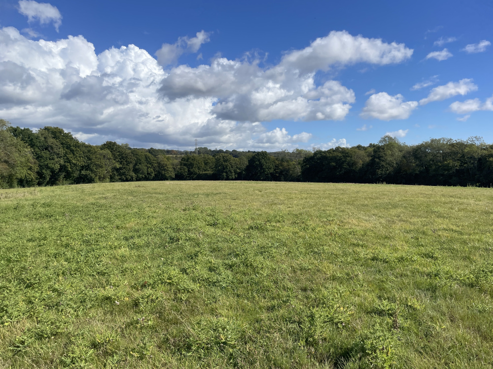 A quiet and peaceful corner of East Sussex