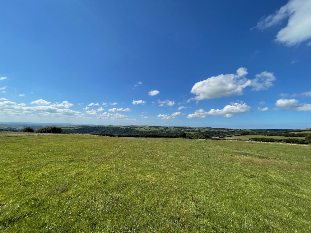 Allcroft Meadow is ripe with potential for woodland creation