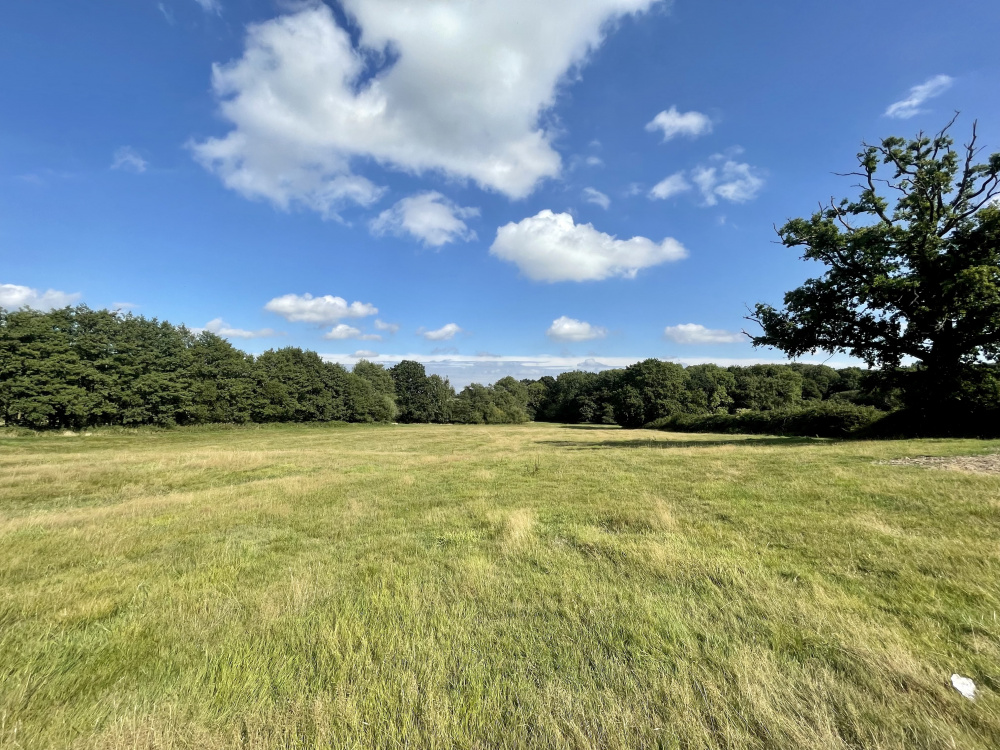 Beechcroft Meadow is an incredibly private and beautiful spot