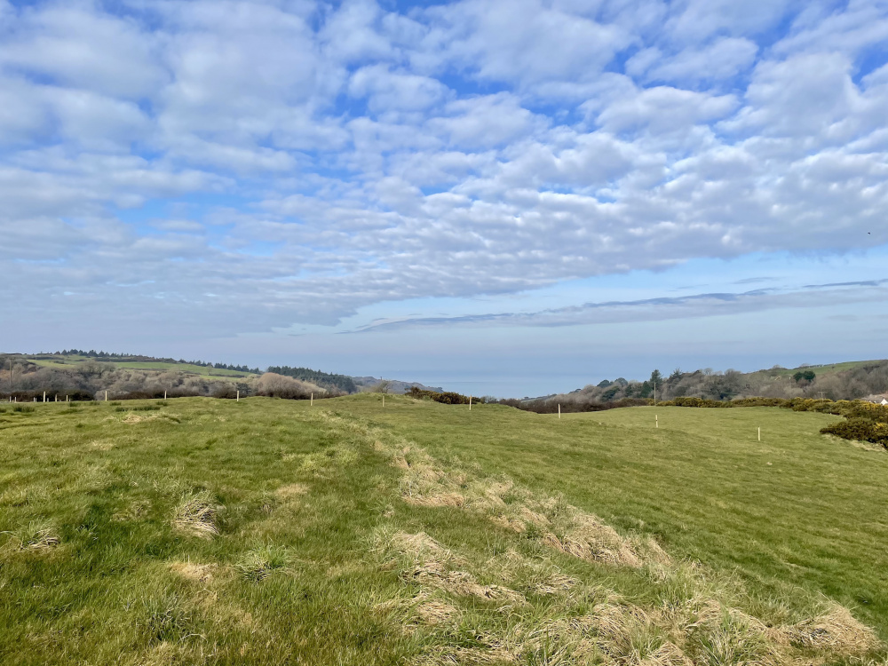 Views out acros Lee Bay