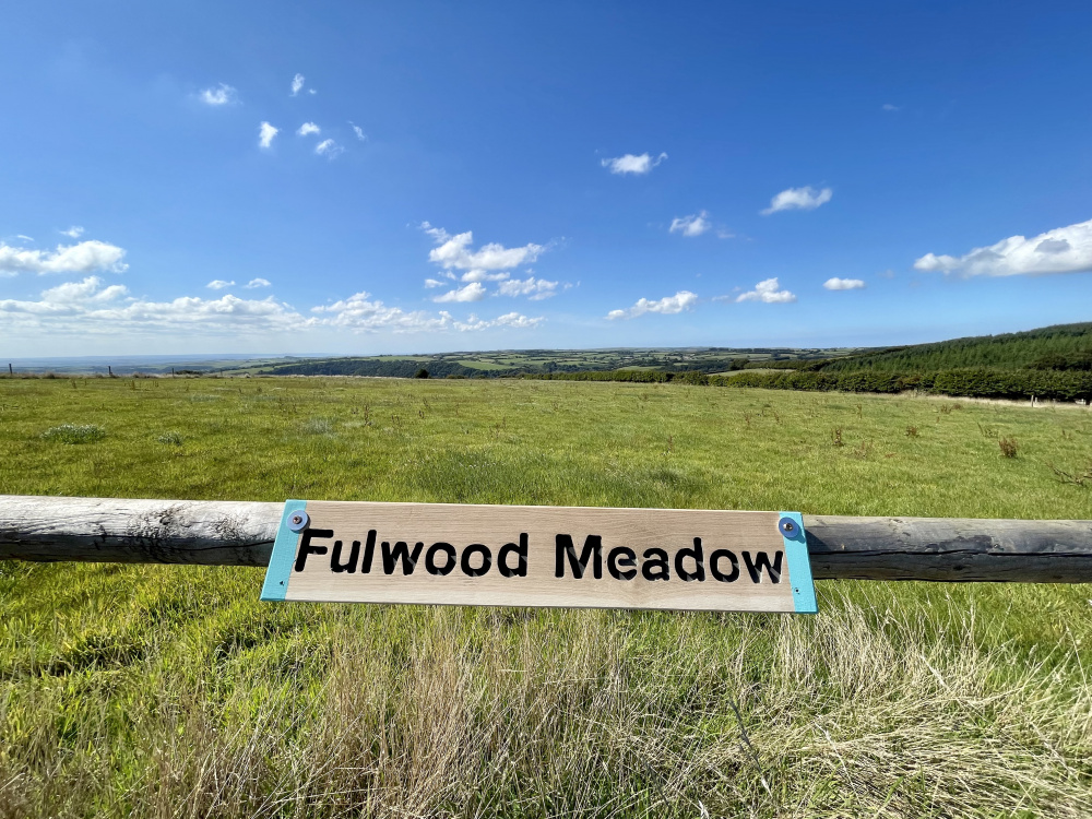 Fulwood meadow