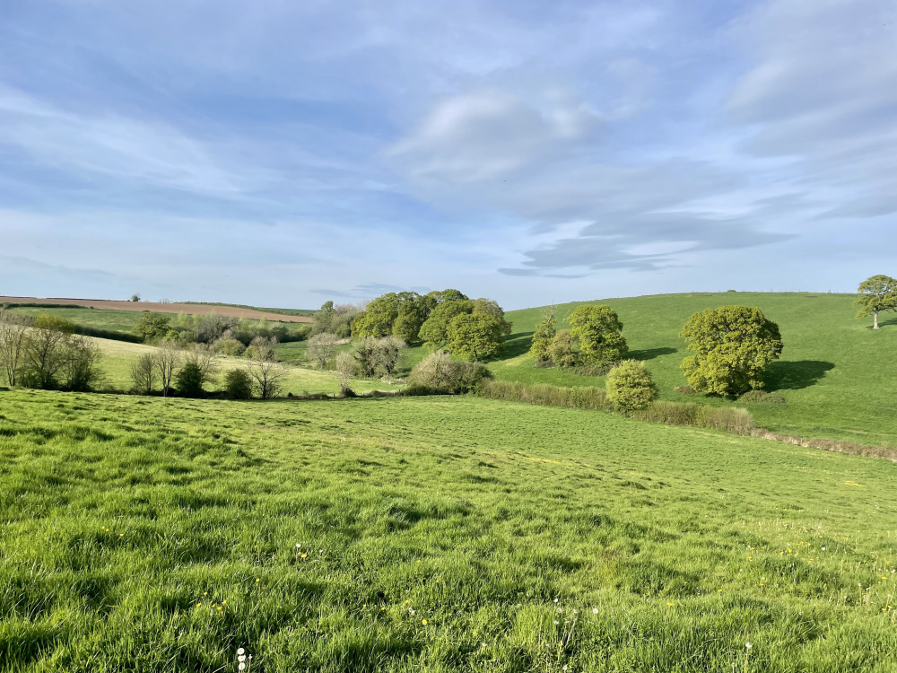 Lovely views across Glade Meadow