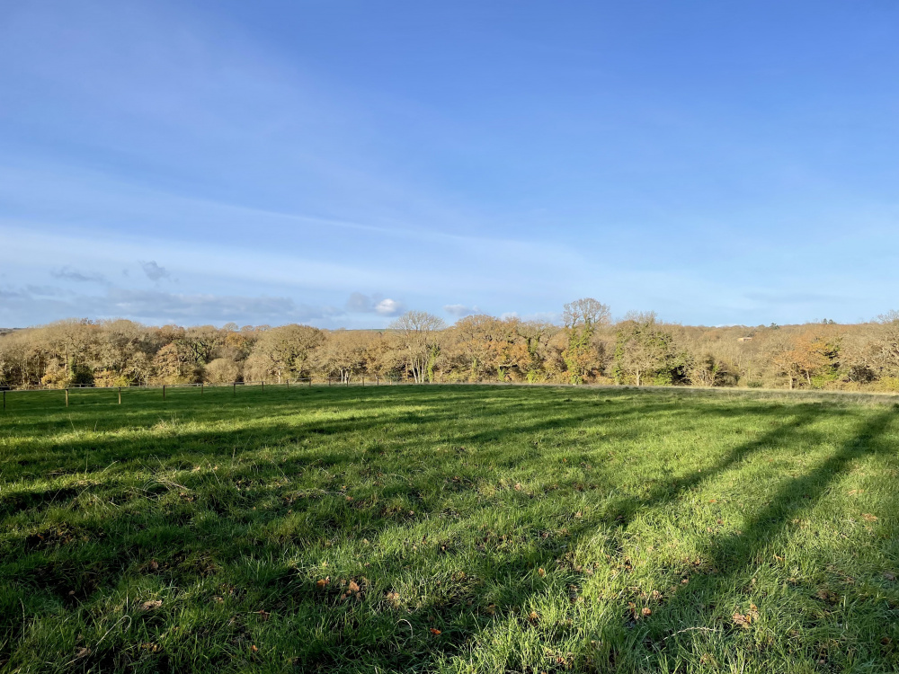 A tranquil rural Devon scene