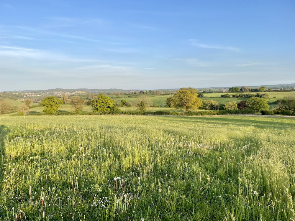 Fabulous views from the top of the meadow