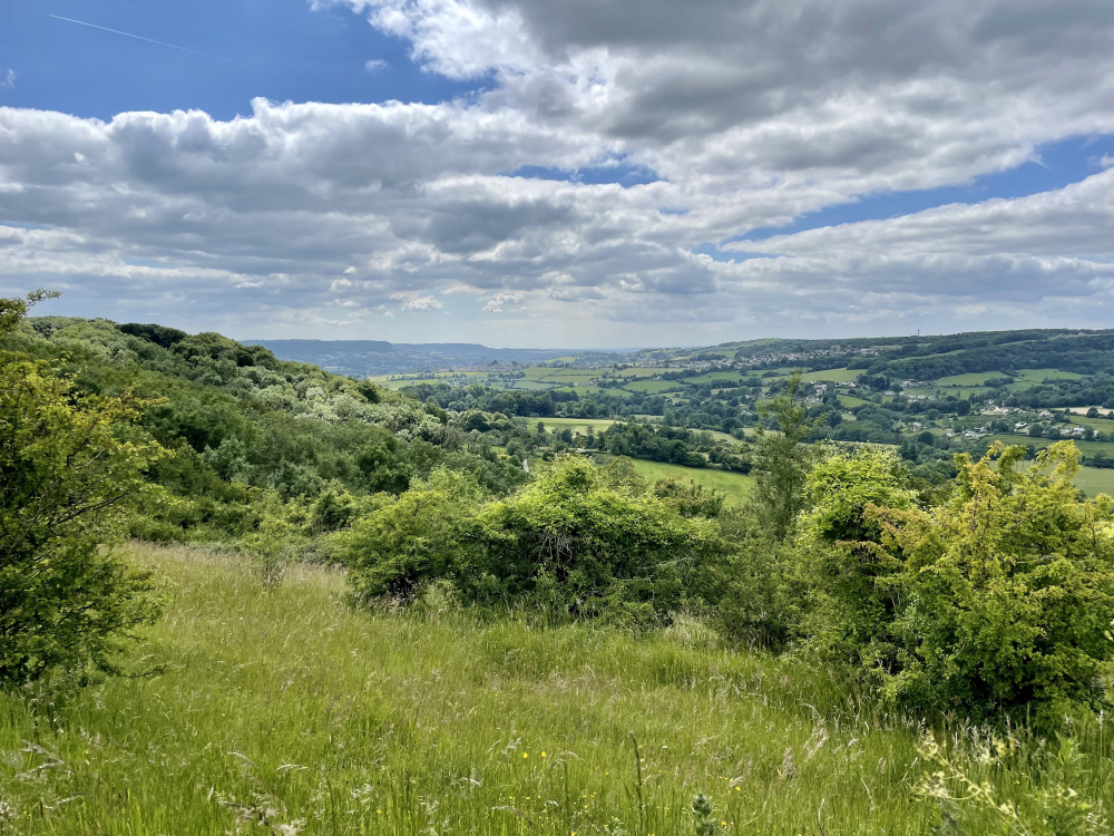 Juniper Meadow enjoys spectacular westerly views down Painswick Valley