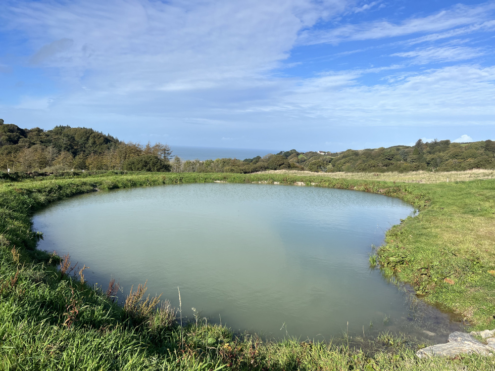 A true haven.  Lee Meadow has a natural swimming pond with remarkable views out to sea.