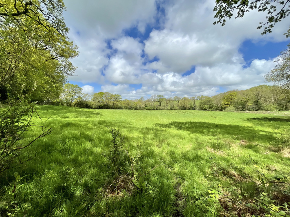 Lovelace Meadow has an extremely private feel, occuping a beautifully quiet corner on the Cornwall / Devon border