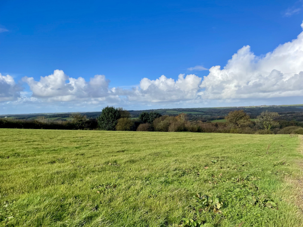 Terrific views across rural Devon can be enjoyed from Luna Meadow
