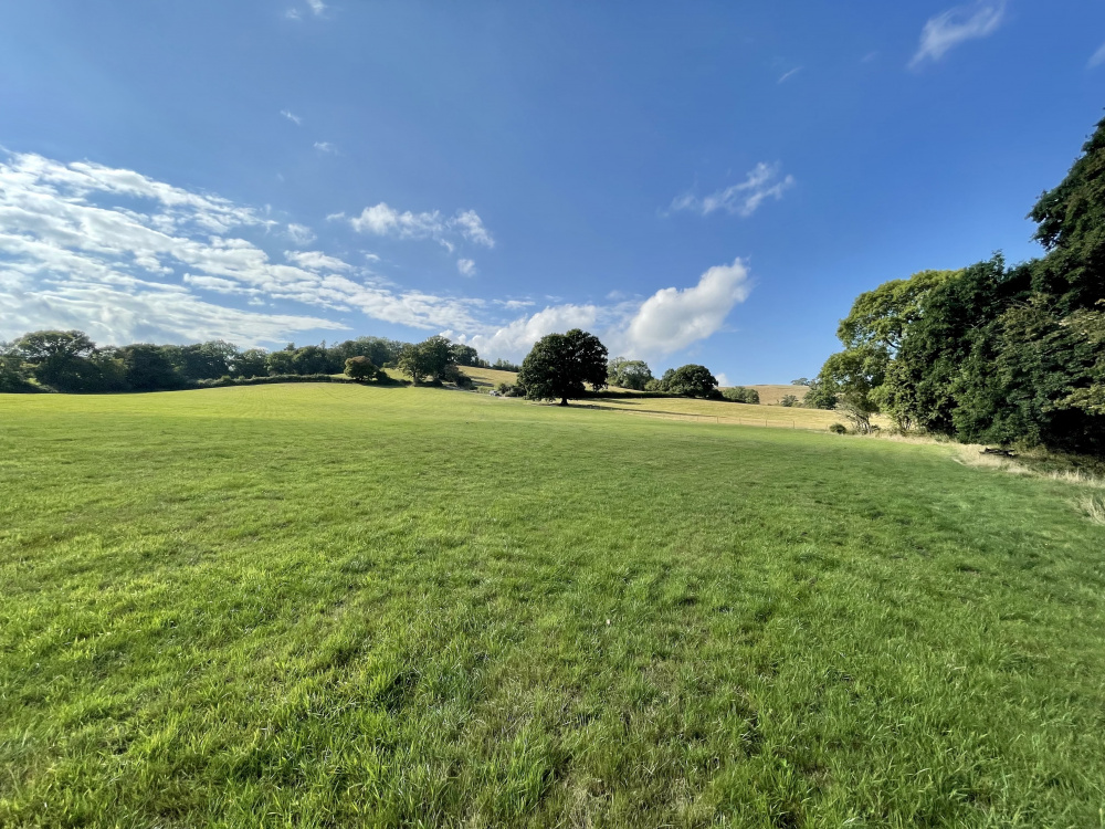 Maiden Meadow is a special parcel of land