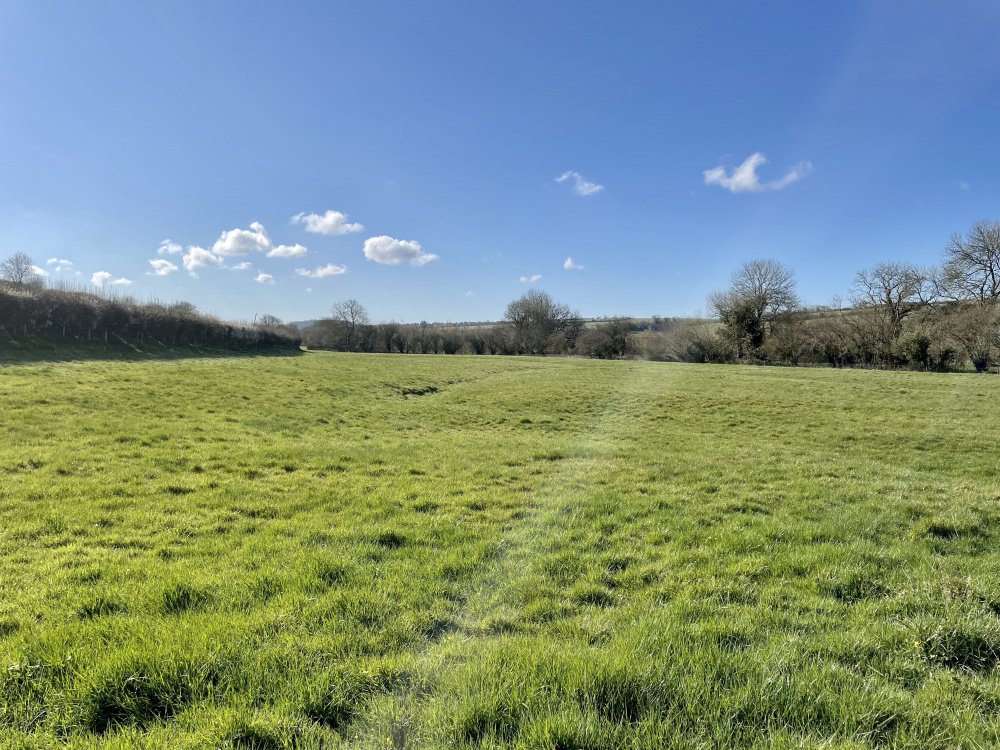 Blue skies over Merryfield Meadow