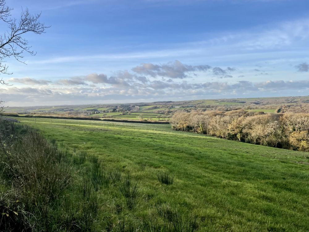 Dreamy views from Myland Meadow